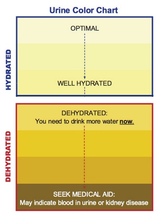 Kidney Failure Urine Color Chart - Minga