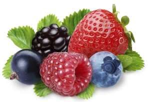 nutritious and delicious berries