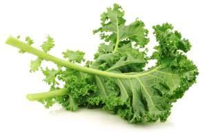Kale is very nutritious